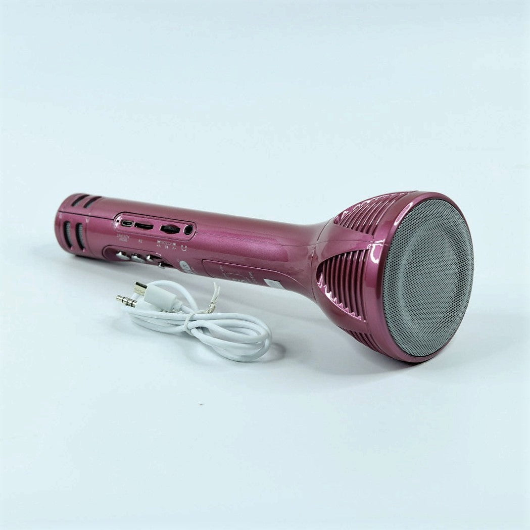 Handheld wireless microphone hot sale with bluetooth speaker