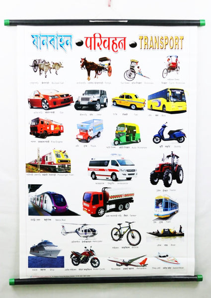 Transport Stick Chart– Large Vibrant Color Chart with Words and Spellings in English, Bengali and Hindi for Study Room, School for Kids –(76 x 51 cm) - Laminated Paper Tear free Mounted Stick
