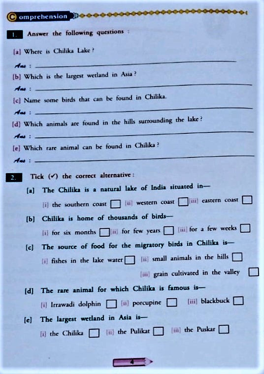 English Comprehension Book - Comprehension Made Simple for Class 3 and ...