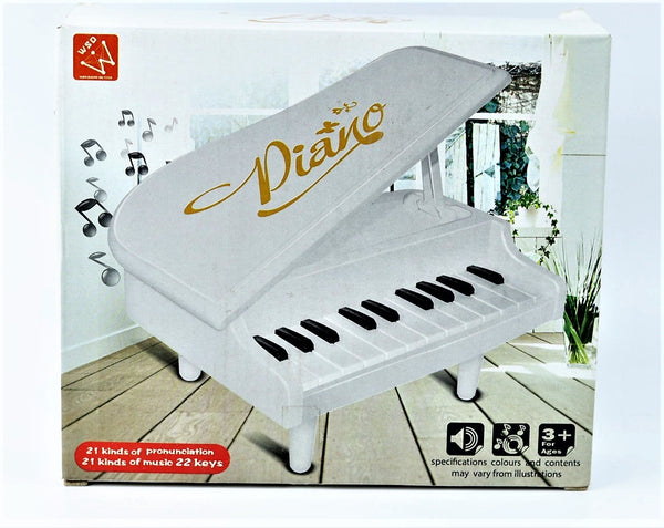 Piano Electronic Organ Battery Operated Portable with 21 Kinds of Pronunciation and Music and 22 keys