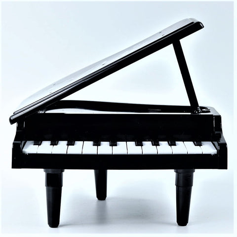 Piano Electronic Organ Battery Operated Portable with 21 Kinds of Pronunciation and Music and 22 keys