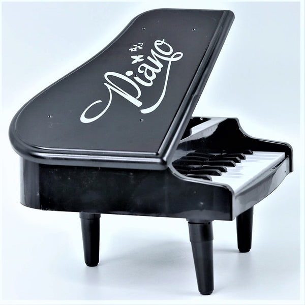 Piano Electronic Organ Battery Operated Portable with 21 Kinds of Pronunciation and Music and 22 keys