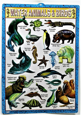Water Animals Chart – Large Vibrant Color chart of Water Animals with their names in English and Hindi for Study Room, School for Kids (59.5 x 42.3 cm) - Laminated Paper Tear free hanging hole