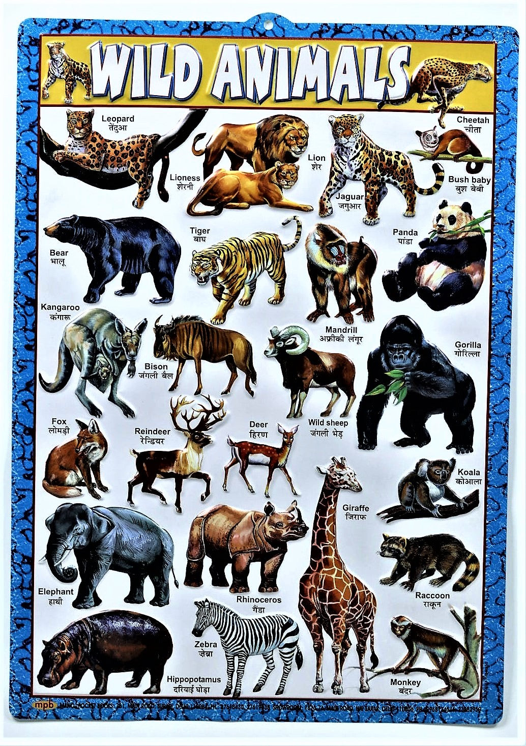 Wild Animals Chart Large Vibrant Color Wild Animals chart with Words