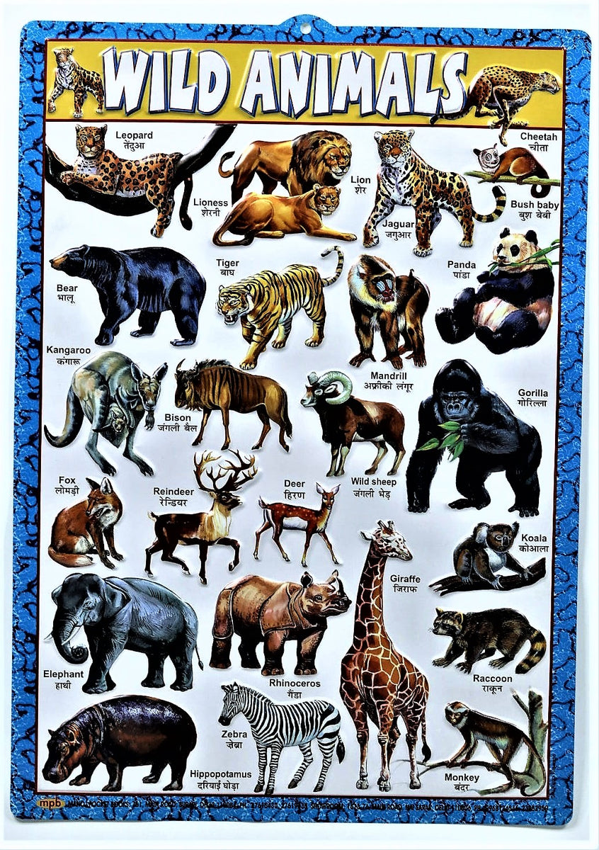 Animals Chart.pdf Wild Animals Chart – Large Vibrant Color Wild Animals chart with Words ...