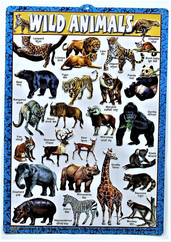 Wild Animals Chart – Large Vibrant Color Wild Animals chart with Words in English and Hindi for Study Room, School for Kids (59.5 x 42.3 cm) - Laminated Paper Tear-free hanging hole