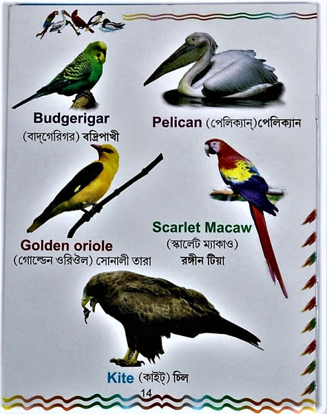 A series of 5 books for early learning - fruits flowers vegetables fishes animals birds worms insects transport body parts in English and Bengali