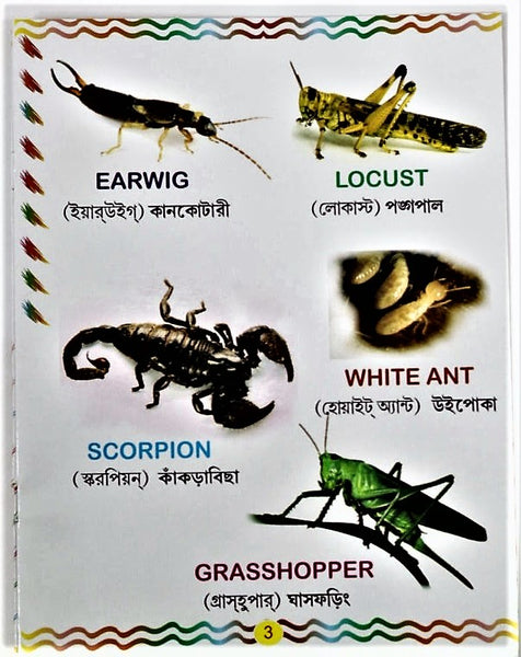 A series of 5 books for early learning - fruits flowers vegetables fishes animals birds worms insects transport body parts in English and Bengali