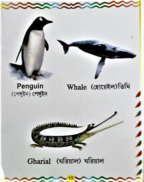 A series of 5 books for early learning - fruits flowers vegetables fishes animals birds worms insects transport body parts in English and Bengali