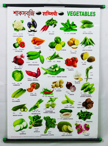 Vegetable Chart – Large Vibrant Color Chart with Words and Spellings in English, Hindi & Bengali for Study Room, School for Kids (76x51 cm) - Laminated Paper Tear free with Pipes mounted