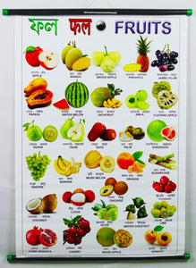 Fruit Chart – Large Vibrant Color Chart with Words and Spellings in English, Hindi & Bengali for Study Room, School for Kids (76x51 cm) - Laminated Paper Tear free with Pipes mounted