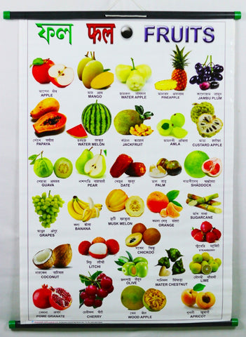 Fruit Chart – Large Vibrant Color Chart with Words and Spellings in English, Hindi & Bengali for Study Room, School for Kids (76x51 cm) - Laminated Paper Tear free with Pipes mounted