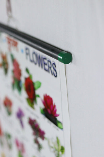 Flower Chart – Large Vibrant Color chart for Flowers - Words in English, Hindi & Bengali for Study Room, School for Kids (76x51 cm)  - Laminated Paper Tear free with Pipes mounted