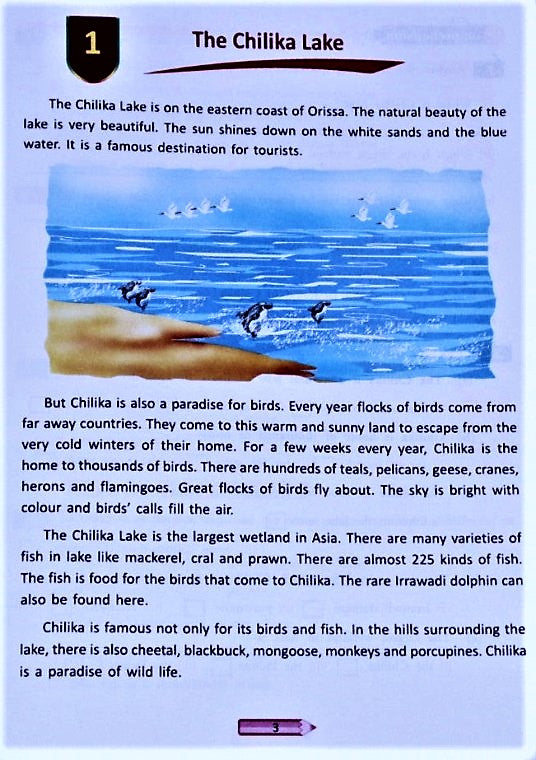 English Comprehension Book - Comprehension Made Simple for Class 3 and ...