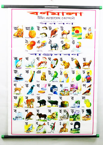 Barnomala Stick Chart– Large Vibrant Color chart of Barnomala with Words and Spellings in Bengali for Study Room, School for Kids (76 x 51  cm) - Laminated Paper Tear free Mounted Stick