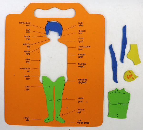 Primary Educational Kit 20 pieces