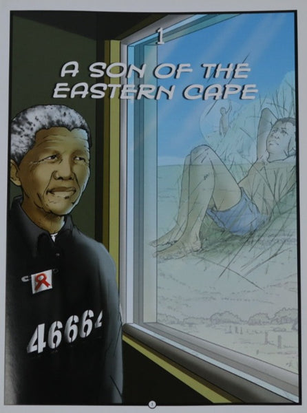 MANDELA, THE GRAPHIC NOVEL Paperback Book – A vivid account of Nelson Mandela's extraordinary life in the form of a full-color graphic novel.